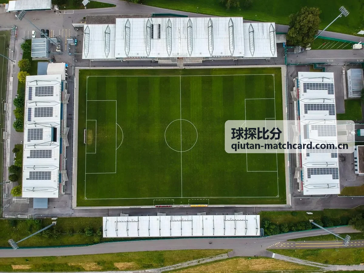 球探比分凯恩球员数据